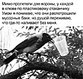 Нажмите на изображение для увеличения
Название: 4CB3177D-814E-4912-AA4F-FB15587B9DC0.jpeg
Просмотров: 490
Размер:	99.9 Кб
ID:	3456795