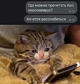 Нажмите на изображение для увеличения
Название: D5D74173-5429-45AD-B0E0-05E60F45F2D6.jpeg
Просмотров: 388
Размер:	81.5 Кб
ID:	3462740