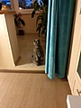 Нажмите на изображение для увеличения
Название: IMG-20210307-WA0001.jpg
Просмотров: 104
Размер:	78.2 Кб
ID:	3462989