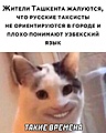 Нажмите на изображение для увеличения
Название: 1.jpg
Просмотров: 496
Размер:	80.8 Кб
ID:	3464149