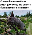 Нажмите на изображение для увеличения
Название: 31a407e1835410891d3fb048d69e3d84.jpg
Просмотров: 513
Размер:	134.0 Кб
ID:	3465179