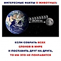 Нажмите на изображение для увеличения
Название: 2.jpg
Просмотров: 473
Размер:	71.7 Кб
ID:	3465964
