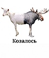 Нажмите на изображение для увеличения
Название: 4.jpg
Просмотров: 463
Размер:	45.9 Кб
ID:	3465966