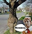 Нажмите на изображение для увеличения
Название: IMG-20220920-WA0015.jpg
Просмотров: 523
Размер:	47.6 Кб
ID:	3466648