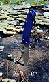 Нажмите на изображение для увеличения
Название: spyderco-pen.jpg
Просмотров: 457
Размер:	563.5 Кб
ID:	3470592