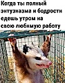 Нажмите на изображение для увеличения
Название: 18E5E783-E4A1-4141-8E67-ED3CC733F7C2.jpeg
Просмотров: 447
Размер:	185.5 Кб
ID:	3474604