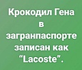 Нажмите на изображение для увеличения
Название: 9E3CF3AE-04E4-4457-82D6-2A6C4AB2B593.jpeg
Просмотров: 428
Размер:	49.0 Кб
ID:	3478721