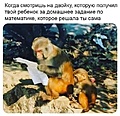 Нажмите на изображение для увеличения
Название: D145FC5D-C1C7-4DA1-929C-631F9887DCD6.jpeg
Просмотров: 459
Размер:	114.1 Кб
ID:	3484611