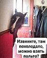 Нажмите на изображение для увеличения
Название: 9B58DA31-F01A-4FA4-AD07-C07E88AD362B.jpeg
Просмотров: 508
Размер:	31.3 Кб
ID:	3486001