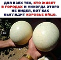 Нажмите на изображение для увеличения
Название: 83F8ABDD-B642-4604-80E3-08F4C1395F62.jpeg
Просмотров: 373
Размер:	111.0 Кб
ID:	3487116