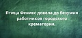 Нажмите на изображение для увеличения
Название: E8201963-A891-4068-AC65-23F2AA6B20E4.jpeg
Просмотров: 460
Размер:	46.3 Кб
ID:	3487997