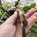 Нажмите на изображение для увеличения
Название: 1A4F9199-D258-4FA6-9A8B-0CA7F6528AA2.jpg
Просмотров: 59
Размер:	461.8 Кб
ID:	3498007
