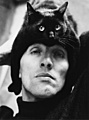 Нажмите на изображение для увеличения
Название: cathat.jpg
Просмотров: 188
Размер:	44.0 Кб
ID:	3502405