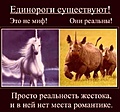 Нажмите на изображение для увеличения
Название: 37291BAD-0029-40A6-A9D9-52246F157CD0.jpeg
Просмотров: 424
Размер:	59.1 Кб
ID:	3506559