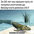 Нажмите на изображение для увеличения
Название: B9D1E1CF-F022-42E2-AE4B-AB978ECA2006.jpeg
Просмотров: 432
Размер:	115.7 Кб
ID:	3516053