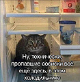 Нажмите на изображение для увеличения
Название: 854BA8A0-5629-4073-B077-13C811CEF830.jpeg
Просмотров: 398
Размер:	333.5 Кб
ID:	3518506