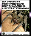 Нажмите на изображение для увеличения
Название: 27B389F6-A8FC-439E-9021-F196147E99AA.jpeg
Просмотров: 488
Размер:	113.2 Кб
ID:	3525614