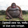Нажмите на изображение для увеличения
Название: 20230226_080102.jpg
Просмотров: 704
Размер:	155.7 Кб
ID:	3529259