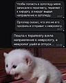 Нажмите на изображение для увеличения
Название: IMG-20230305-WA0018.jpg
Просмотров: 511
Размер:	61.7 Кб
ID:	3532567