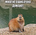 Нажмите на изображение для увеличения
Название: 5.jpg
Просмотров: 495
Размер:	73.2 Кб
ID:	3534556