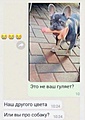 Нажмите на изображение для увеличения
Название: 12.jpg
Просмотров: 486
Размер:	90.0 Кб
ID:	3534563