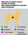 Нажмите на изображение для увеличения
Название: 5.jpg
Просмотров: 507
Размер:	64.3 Кб
ID:	3545188