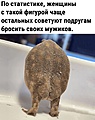 Нажмите на изображение для увеличения
Название: 3A0444A2-92EC-4280-B322-9DD867456F13.jpeg
Просмотров: 473
Размер:	130.7 Кб
ID:	3551917