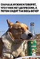 Нажмите на изображение для увеличения
Название: IMG_20230423_192747_771.jpg
Просмотров: 546
Размер:	114.6 Кб
ID:	3557172