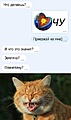 Нажмите на изображение для увеличения
Название: IMG_20230502_204247_915.jpg
Просмотров: 489
Размер:	83.3 Кб
ID:	3560787