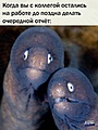 Нажмите на изображение для увеличения
Название: IMG_20230502_204247_785.jpg
Просмотров: 478
Размер:	97.6 Кб
ID:	3560791
