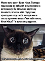 Нажмите на изображение для увеличения
Название: 4A95A990-184B-44EE-A81E-9C61DBC48D06.jpeg
Просмотров: 398
Размер:	572.9 Кб
ID:	3567985
