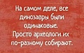 Нажмите на изображение для увеличения
Название: 0048B248-BCC9-4F54-A4DA-44AF2683D23D.jpeg
Просмотров: 393
Размер:	53.6 Кб
ID:	3572363