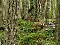 Нажмите на изображение для увеличения
Название: PICT0013.JPG
Просмотров: 47
Размер:	156.7 Кб
ID:	35816