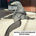 Нажмите на изображение для увеличения
Название: 50049928-66AF-42B3-8509-AFFADF8D466E.jpeg
Просмотров: 410
Размер:	117.6 Кб
ID:	3600255