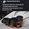 Нажмите на изображение для увеличения
Название: 34543604-06BD-4021-B632-A34946B10399.jpeg
Просмотров: 471
Размер:	60.0 Кб
ID:	3605525