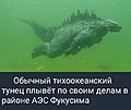 Нажмите на изображение для увеличения
Название: 4B10747E-2989-4A18-8CD0-8D0D6F26F3FC.jpeg
Просмотров: 313
Размер:	58.3 Кб
ID:	3607541