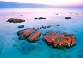 Нажмите на изображение для увеличения
Название: Stromatolityi.jpg
Просмотров: 364
Размер:	86.3 Кб
ID:	360898