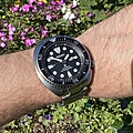 Нажмите на изображение для увеличения
Название: IMG_1987.jpg
Просмотров: 347
Размер:	712.2 Кб
ID:	3612899