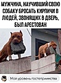 Нажмите на изображение для увеличения
Название: IMG_0486.jpeg
Просмотров: 453
Размер:	144.0 Кб
ID:	3632297