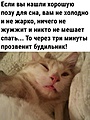 Нажмите на изображение для увеличения
Название: IMG_20231125_122753_836.jpg
Просмотров: 356
Размер:	113.1 Кб
ID:	3640523