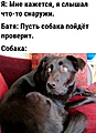 Нажмите на изображение для увеличения
Название: IMG_20231125_122753_586.jpg
Просмотров: 342
Размер:	132.7 Кб
ID:	3640524