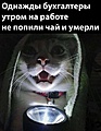 Нажмите на изображение для увеличения
Название: IMG_20231125_122749_161.jpg
Просмотров: 334
Размер:	154.8 Кб
ID:	3640526