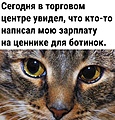 Нажмите на изображение для увеличения
Название: IMG_20231205_130034_214.jpg
Просмотров: 466
Размер:	246.3 Кб
ID:	3644973