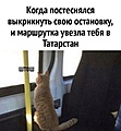 Нажмите на изображение для увеличения
Название: IMG_20231209_143955_320.jpg
Просмотров: 377
Размер:	77.7 Кб
ID:	3646907