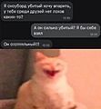 Нажмите на изображение для увеличения
Название: IMG_20231209_143955_846.jpg
Просмотров: 379
Размер:	79.8 Кб
ID:	3646908