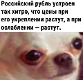 Нажмите на изображение для увеличения
Название: 1A6A1F09-A27A-4A74-99F3-B31F94B0C319.jpeg
Просмотров: 389
Размер:	89.0 Кб
ID:	3653522