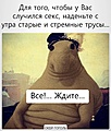 Нажмите на изображение для увеличения
Название: IMG_20240119_150606_510.jpg
Просмотров: 360
Размер:	160.5 Кб
ID:	3662226