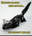 Нажмите на изображение для увеличения
Название: image.jpg
Просмотров: 646
Размер:	99.2 Кб
ID:	367065