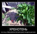 Нажмите на изображение для увеличения
Название: image.jpg
Просмотров: 712
Размер:	107.6 Кб
ID:	367066