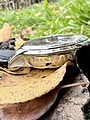 Нажмите на изображение для увеличения
Название: IMG_2717.jpg
Просмотров: 133
Размер:	455.3 Кб
ID:	3685547